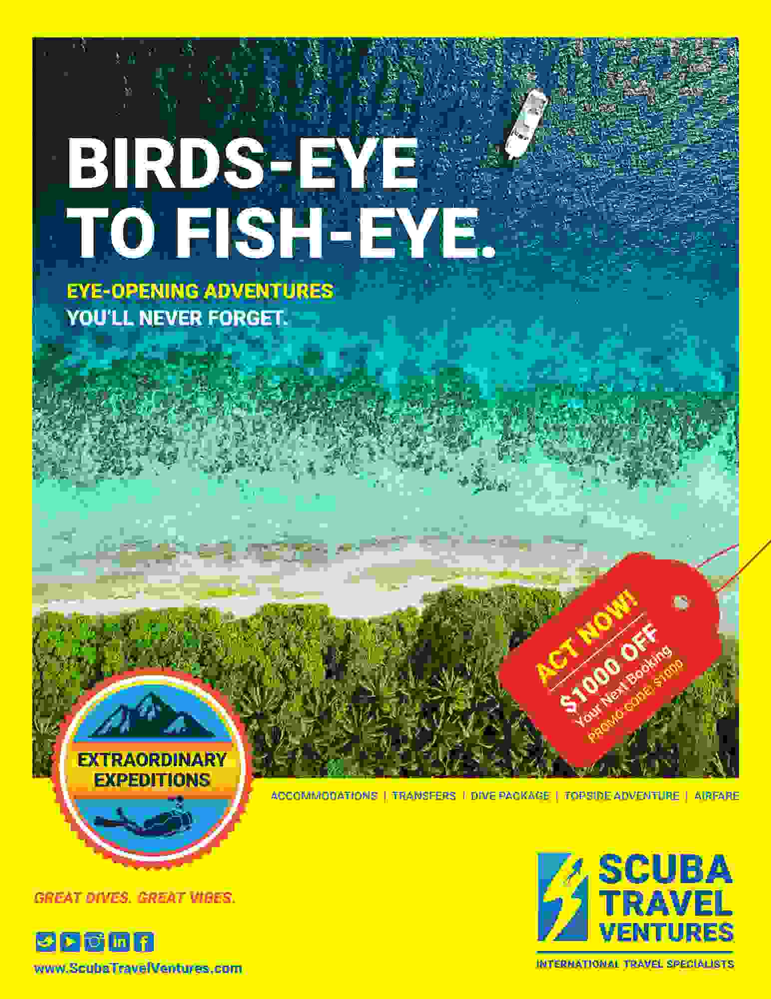 Scuba Ad 2